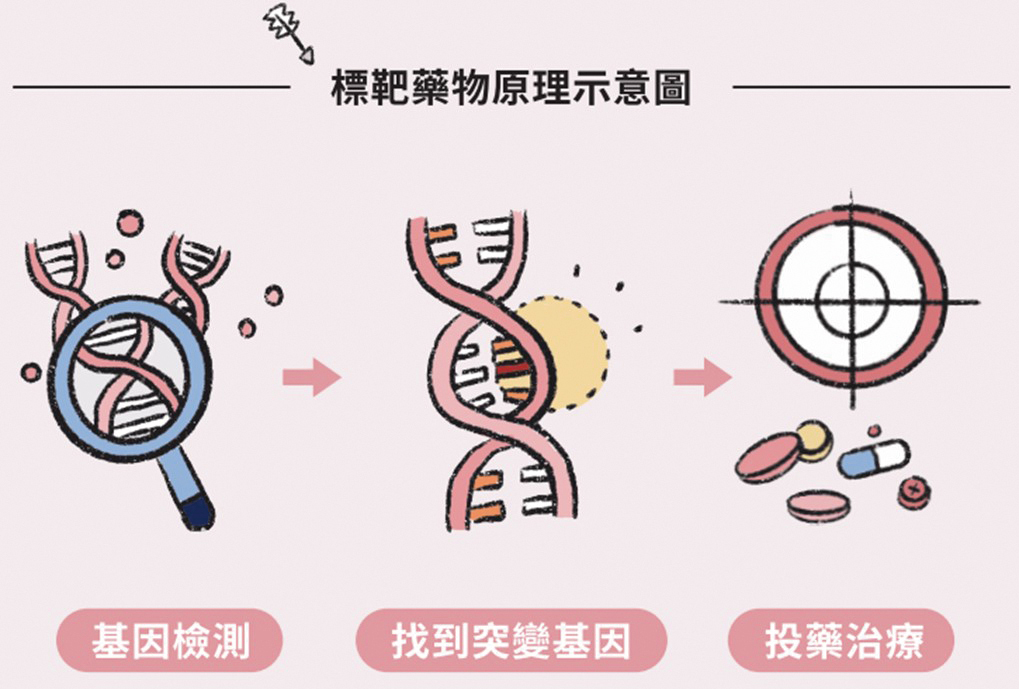 標靶藥物原理示意圖來源台灣肺癌學會肺癌治療衛教手冊